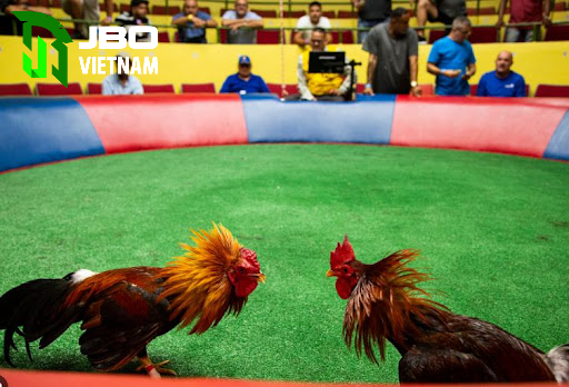 Sự ra đời của đá gà Campuchia