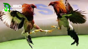 Luật chơi của đá gà cựa sắt