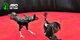 Văn hóa cả đá gà nòi