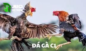 Các quy tắc trong đá gà trực tiếp c1